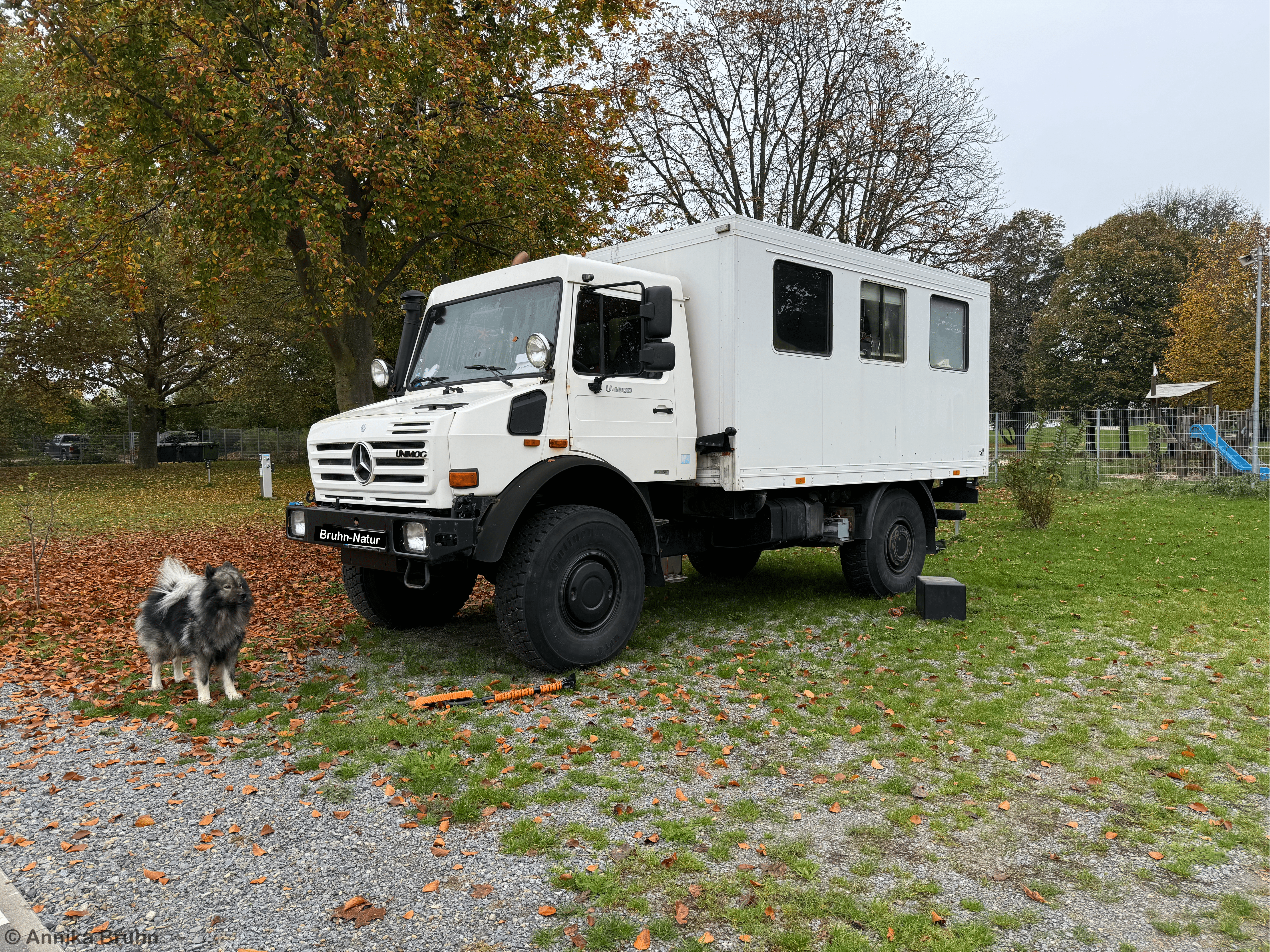 Oh oh Karl springt nicht an.